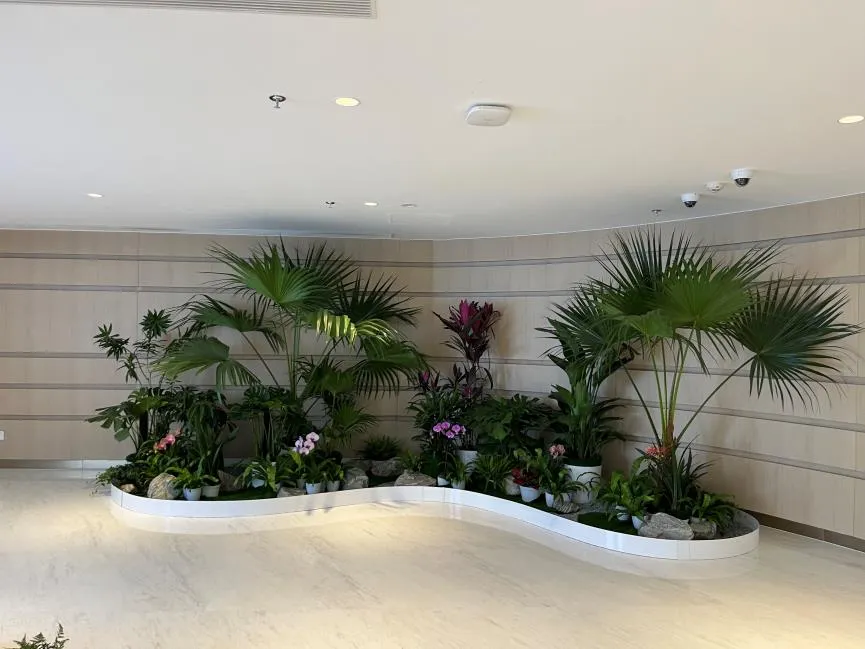 宁波北仑绿化养护服务好 宁波北仑绿化养护服务好